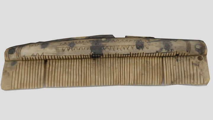 Viking Age Comb 3D Model