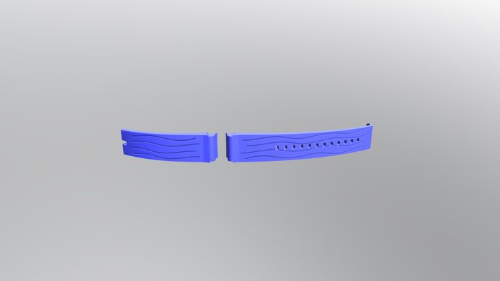 2 Correas Reloj 3D Model