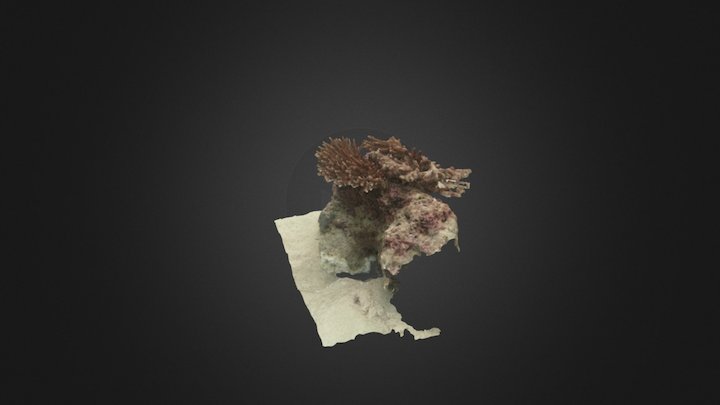 Qatar Nov2016 TAG 382 1 trim 3d Mesh 3D Model