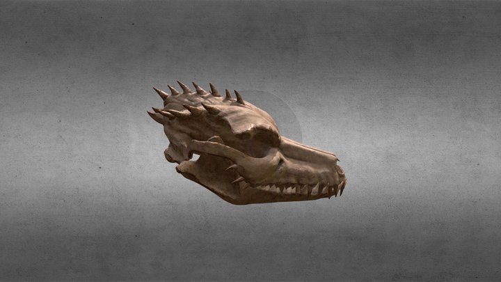 Dragon Skull - Copper 3D Model