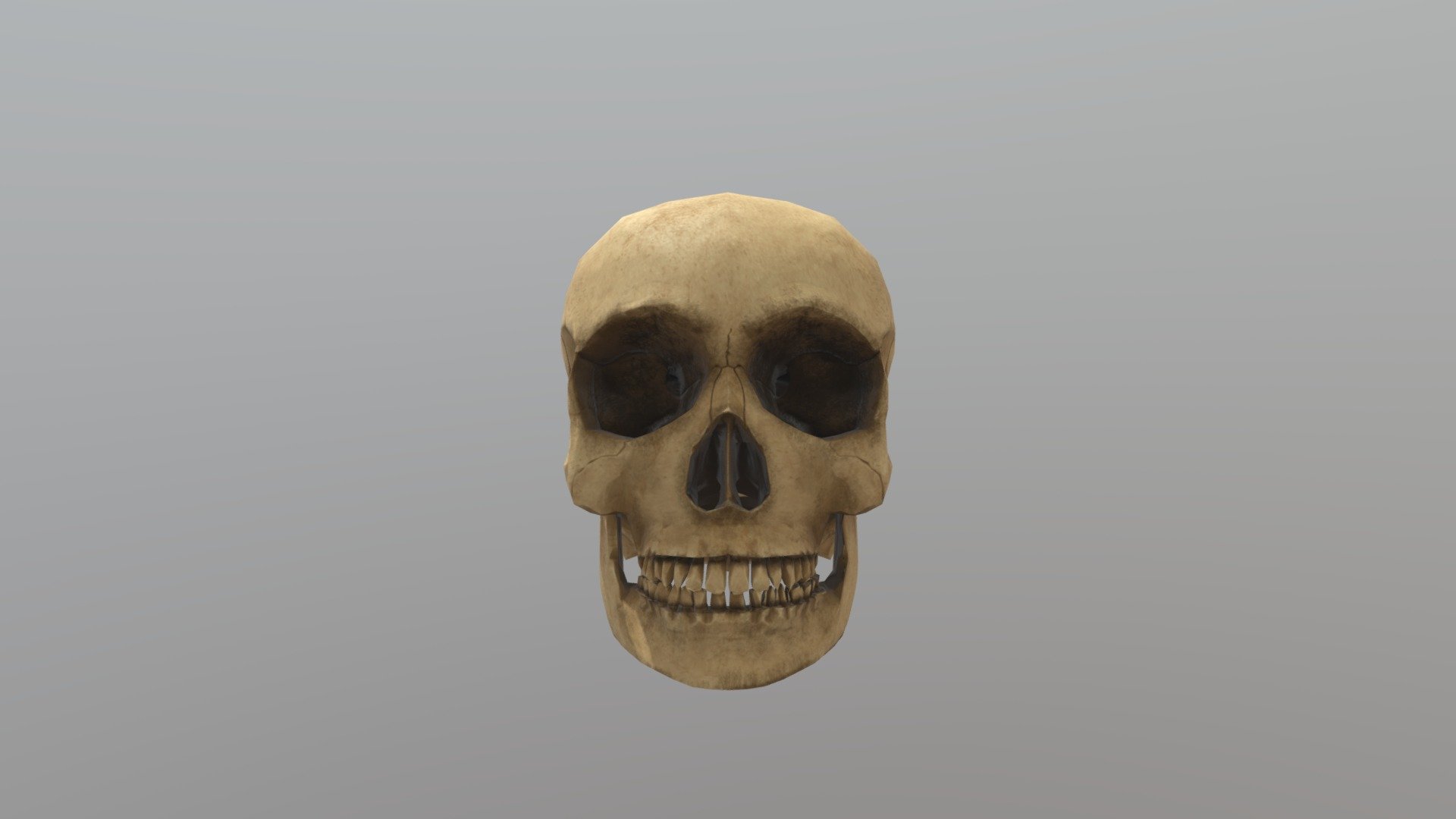 Skull