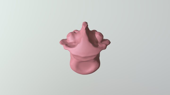 lumbar something 3D Model