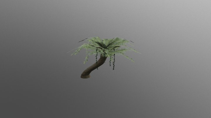 Jungle Tree 3D Model