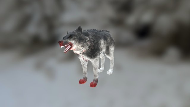 Nordic Wolf Angry 3D Model