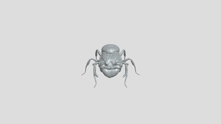 not suppose 3D Model