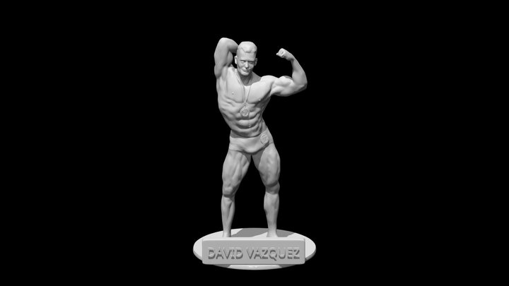 MODELO 3D DAVID VAZQUEZ 3D Model