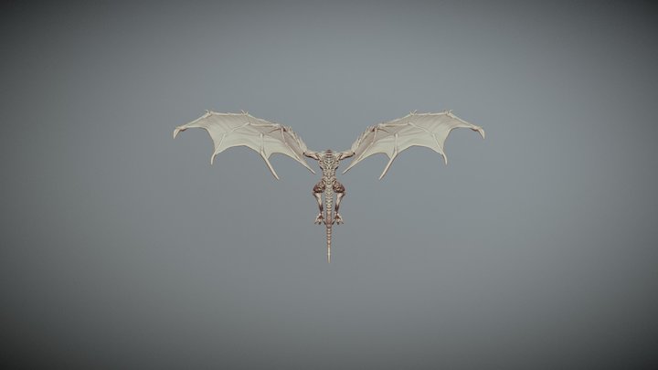 dragon_test 3D Model