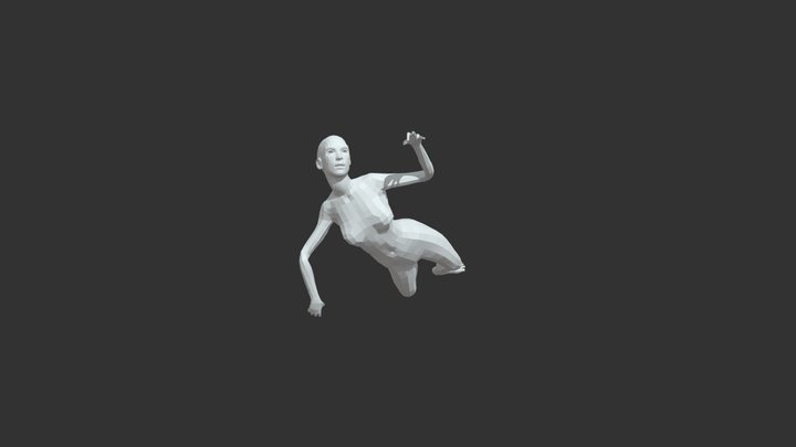 Rigging Model 3D Model