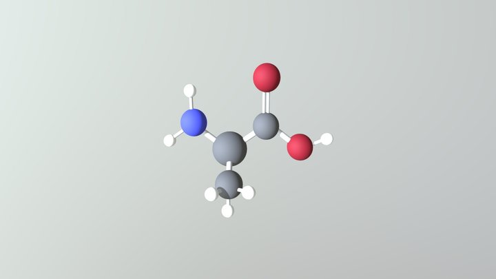 Alanine 3D Model