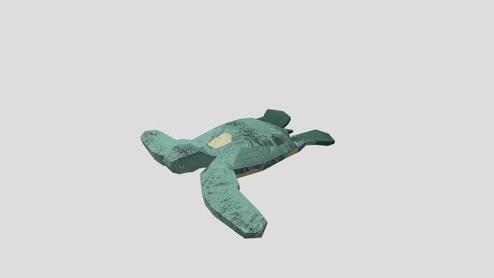 Weirdly Textured Turtle 3D Model