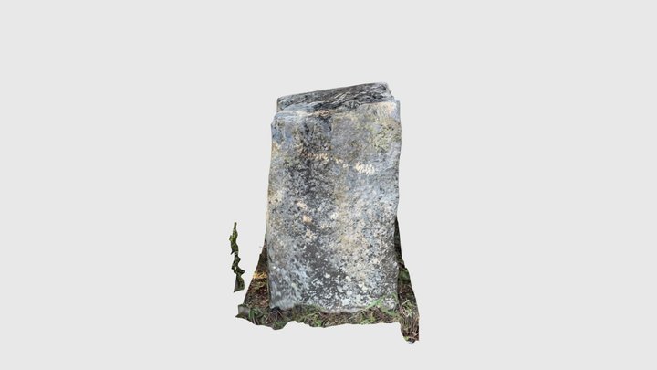 大阪城　名古屋城の残り石 3D Model