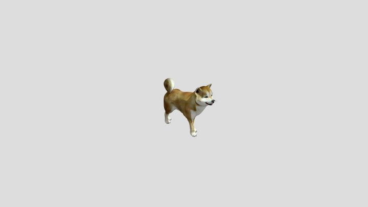 Playful Dog 3D Model
