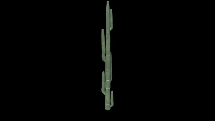Tall Cactus 3D Model