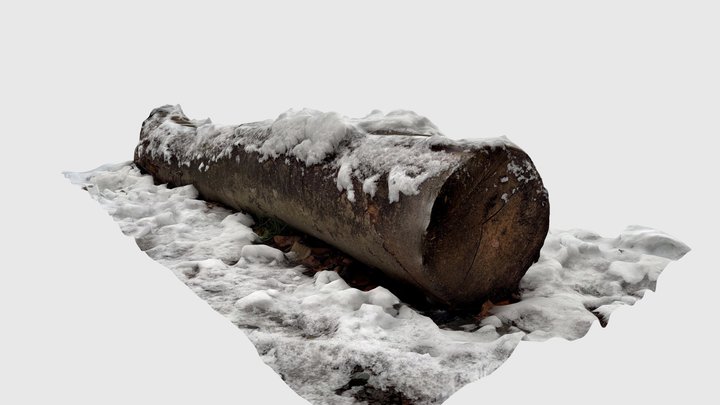 Wood Trunk With Snow 01 - RAW Scan 3D Model