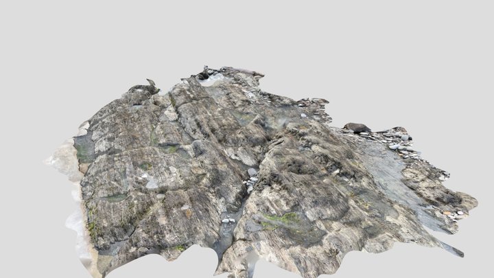 Rock Pool 3D Model