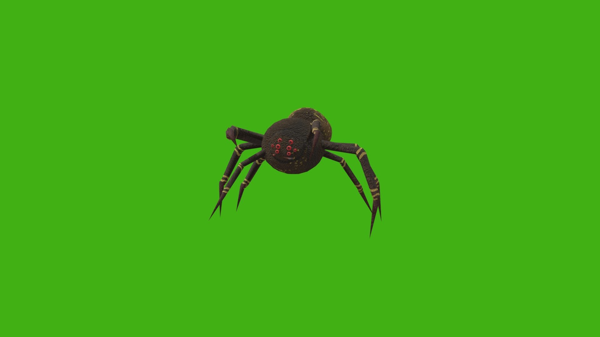SPIDER