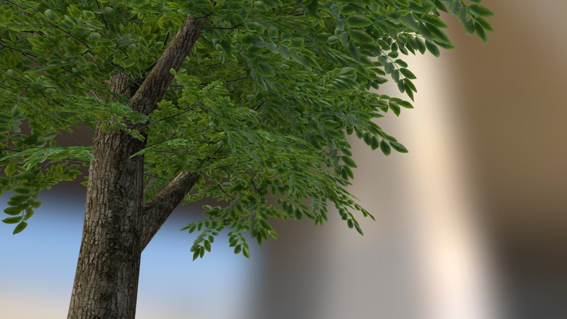 Tree Test FBX 001 - 3D model by 3DBRYX [f3d340d] - Sketchfab