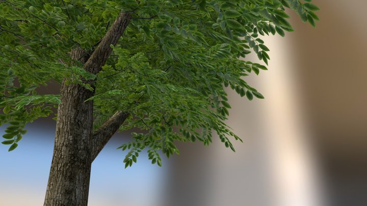 Tree Test FBX 001 3D Model
