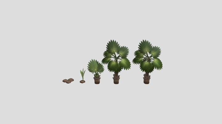 62108501_4 3D Model