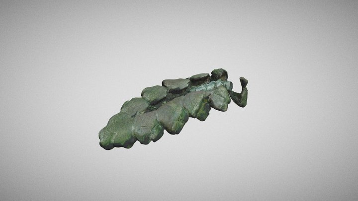 Fosil Stegouros 3D Model