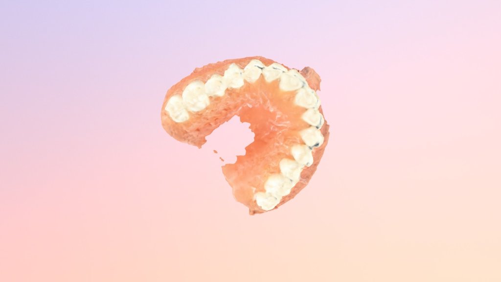 Teeth 3D model