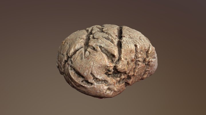 Homemade bread 3D Model