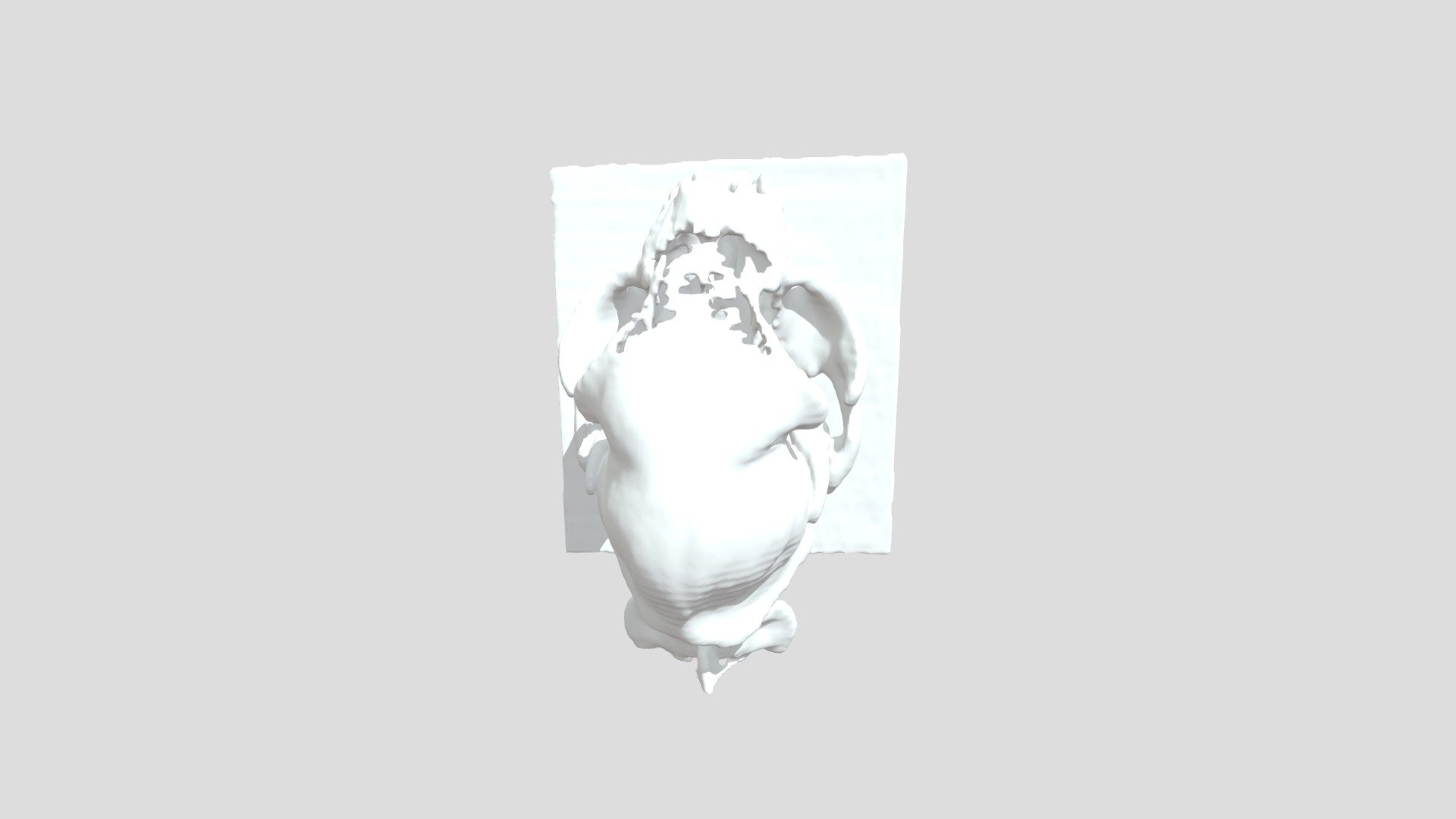 Timmy Skull