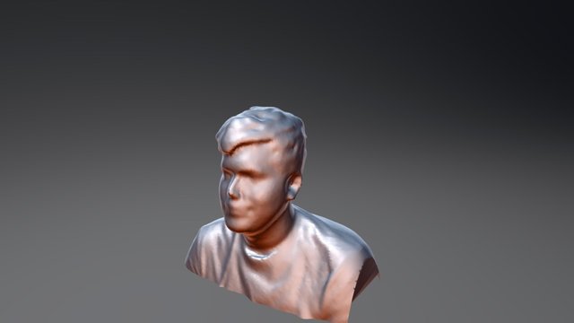 self scan 3D Model