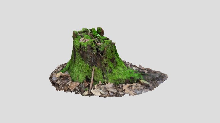 Root with moss 3D Model