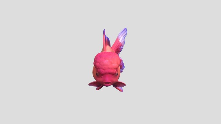 Red Lionhead Goldfish 3D Model