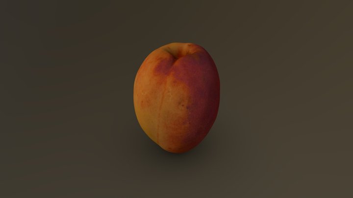 Apricot 13 3D Model