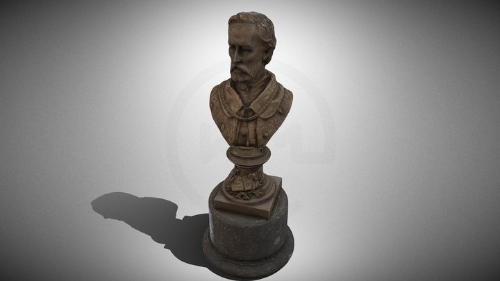 Vintage New Orleans Saints Throwback Bust 3D model 3D printable