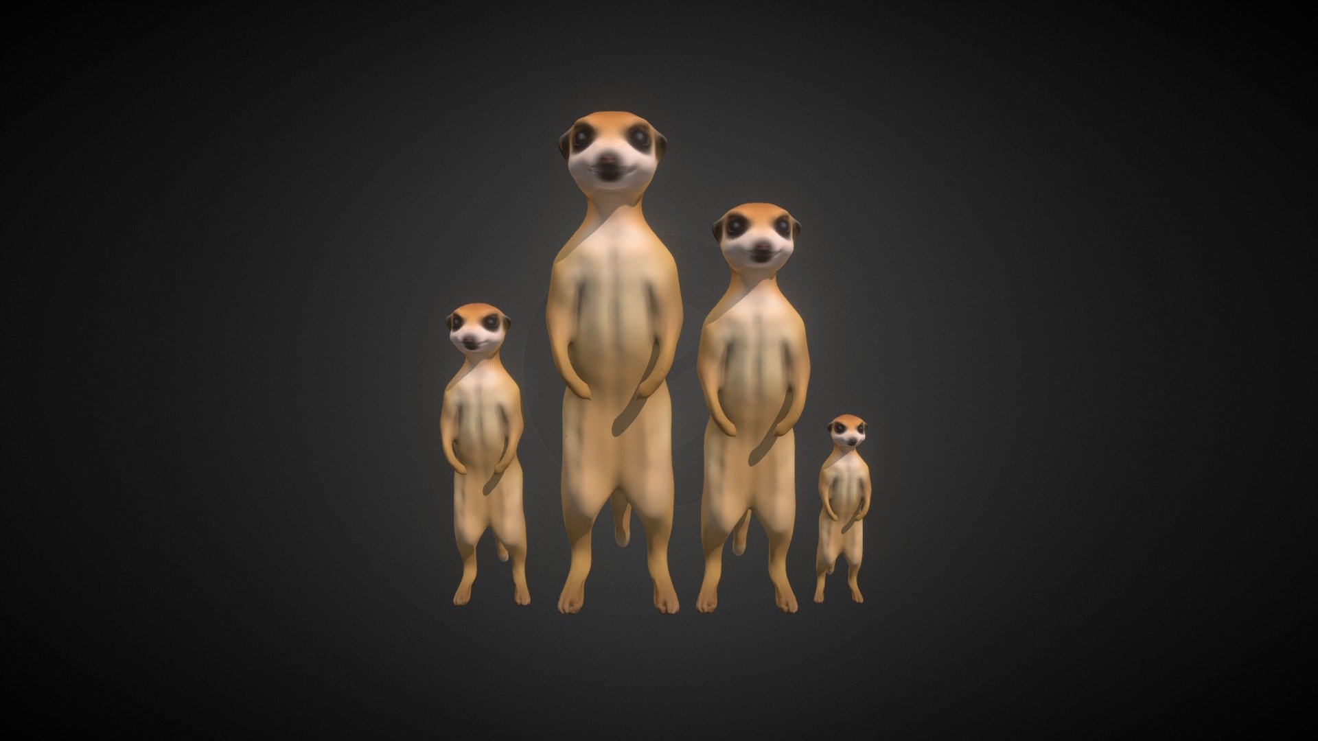 Meerkat Family