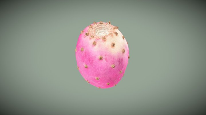 Cactus Pear 3D Model