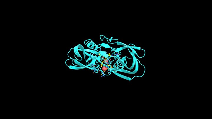HIV protease and saquinavir 3D Model