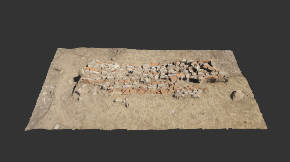 opus vittatum 3D model by salvatore.ganga [f3eeb35] Sketchfab