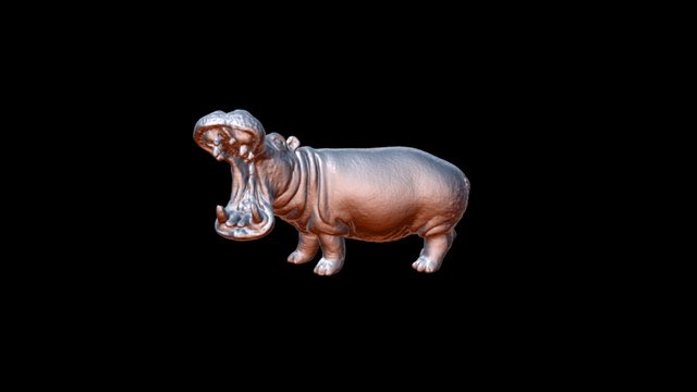 Scan Hipopótamo 3D Model