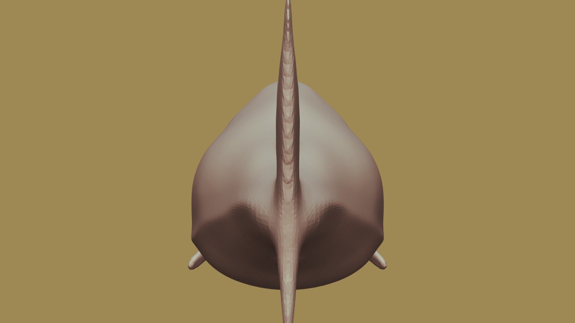 SharkOne