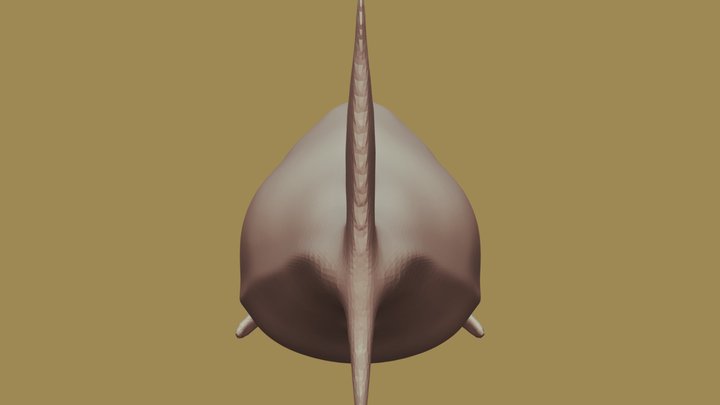 SharkOne 3D Model