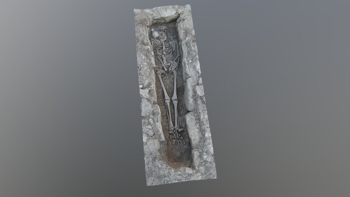 C Burial 3D Model