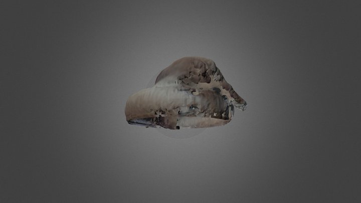 Pixel Model 3D Model