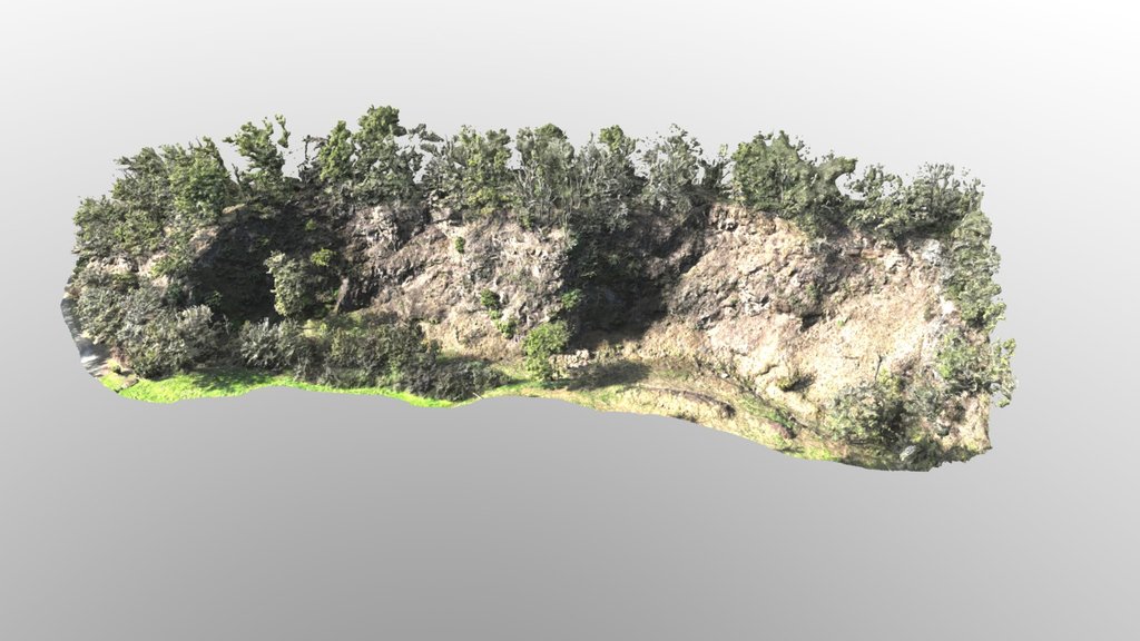 Falaise_ Bournit