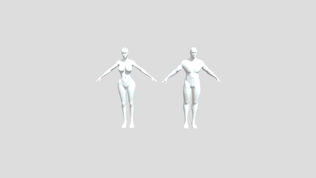 Male and female body base mesh free to download