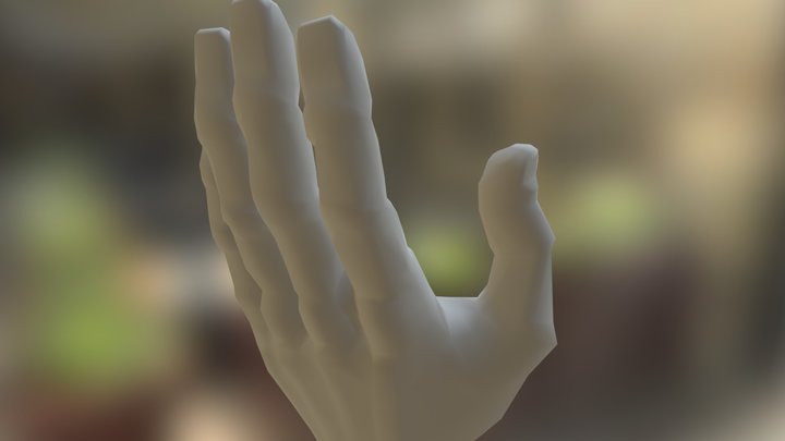Hand2 3D Model