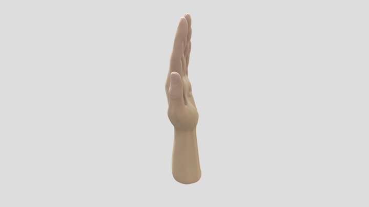 Human Hand Sculpt 3D Model