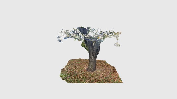 Grzegorz Czaplak 3D Model