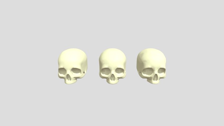 Skull 3 LOD's 3D Model