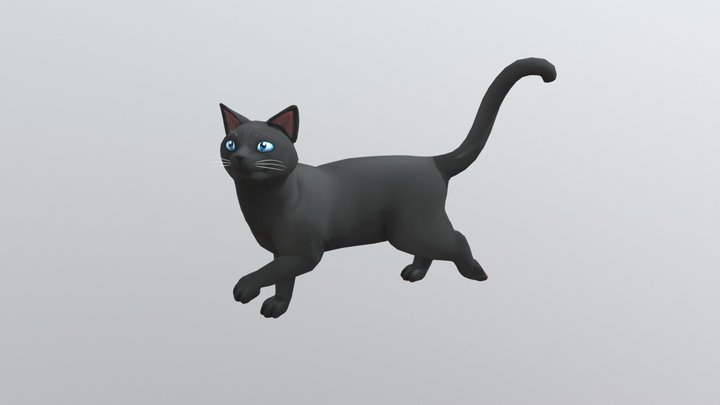 Black Cat 3D Model