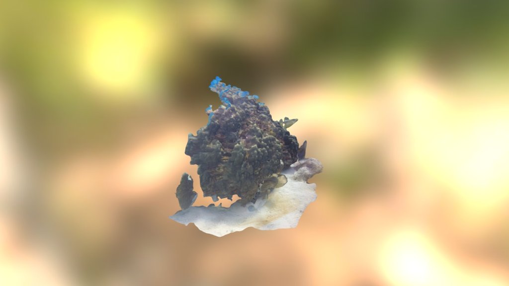 New Coral Structure Simplified 3d Mesh