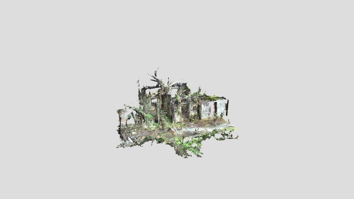Tree House 1 Scan (original) 3D Model